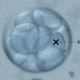 Illustration for article titled Is There a 'Wrong' Reason to Have an Abortion?